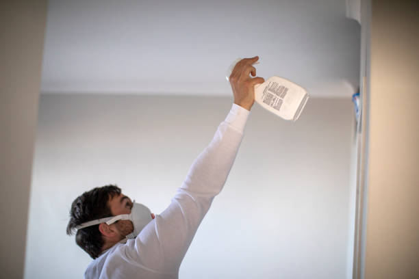 Best Mold Cleaning Services  in Seguin, TX